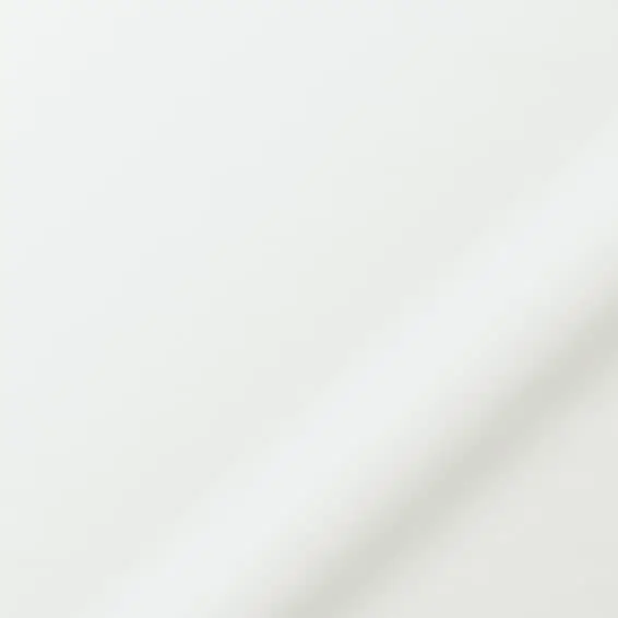 Kendal Blackout Powder White Roller Blind