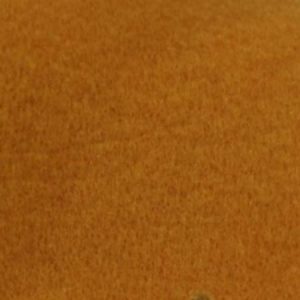  Warm Mandarine Orange