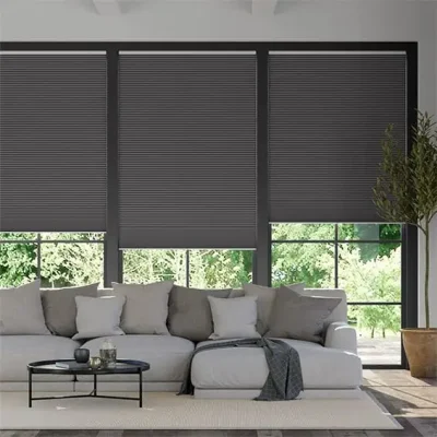 Electric Pleated Blinds
