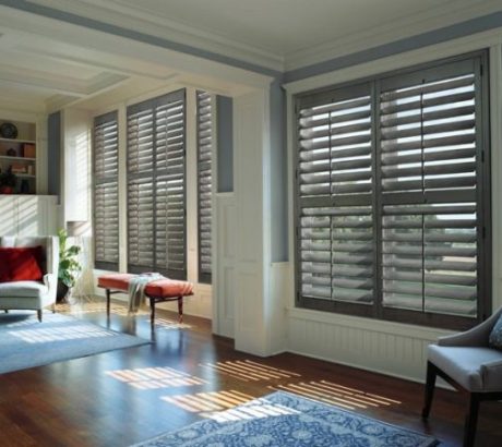 windows shutters